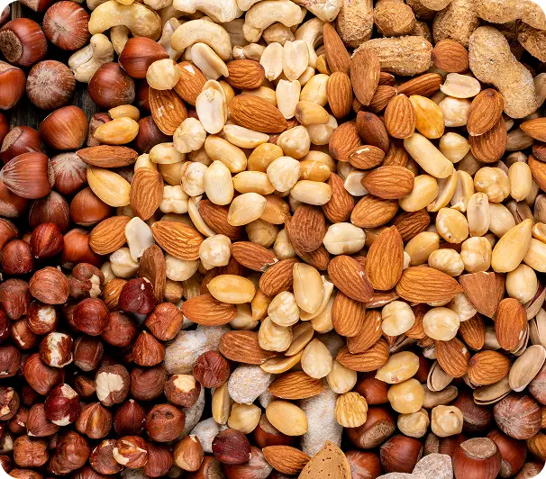 Hazelnut, almonds and peanuts